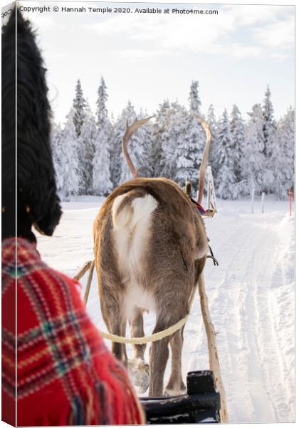 Reindeer sleigh ride Canvas Print by Hannah Temple