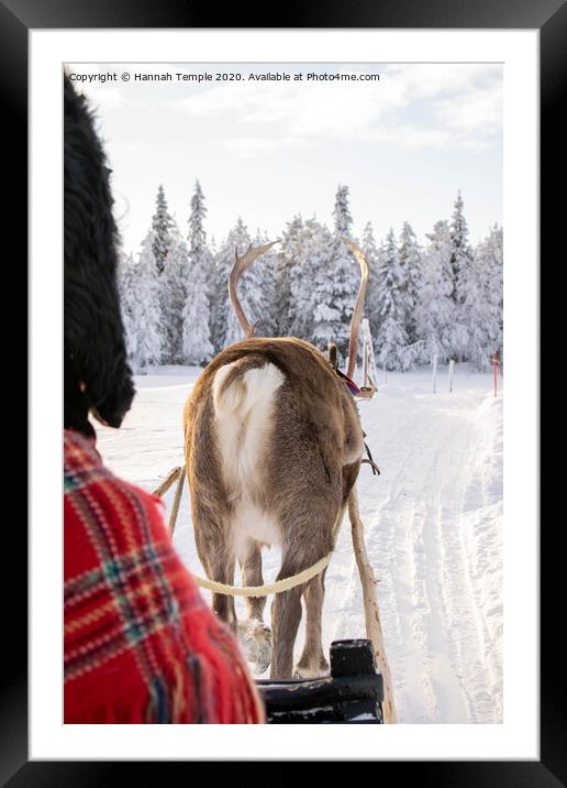 Reindeer sleigh ride Framed Mounted Print by Hannah Temple