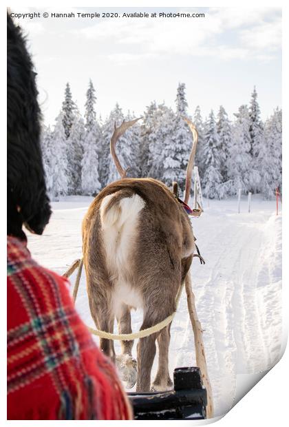 Reindeer sleigh ride Print by Hannah Temple