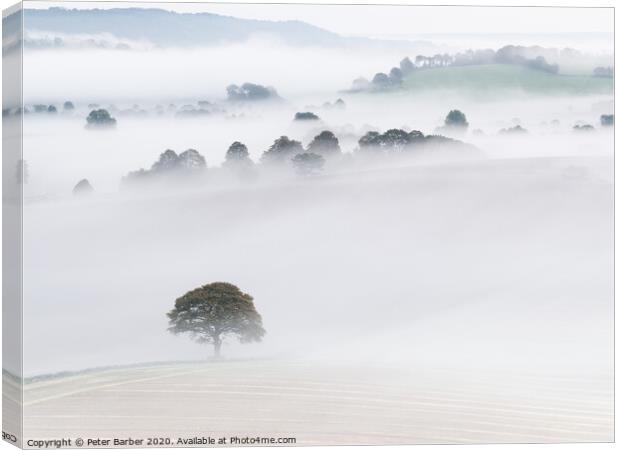 South Downs Mist Layers Canvas Print by Peter Barber