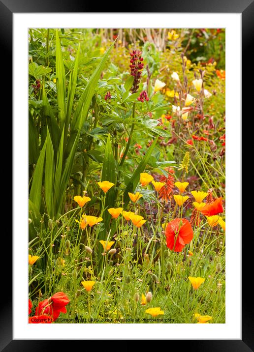 Beautiful garden flowers in summer time Framed Mounted Print by Simon Bratt LRPS