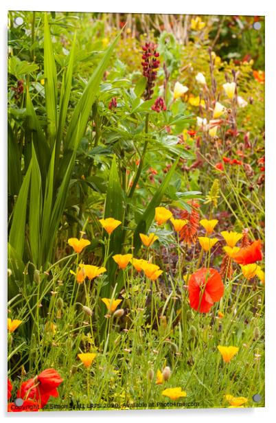 Beautiful garden flowers in summer time Acrylic by Simon Bratt LRPS