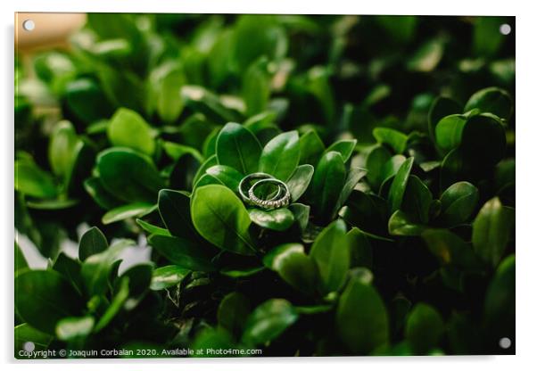 Pair of elegant wedding rings Acrylic by Joaquin Corbalan
