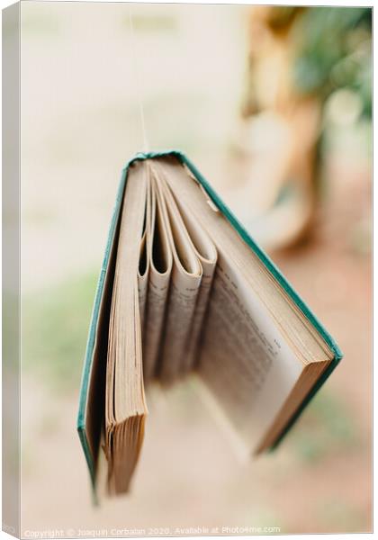 Books hung to decorate an outdoor porch Canvas Print by Joaquin Corbalan
