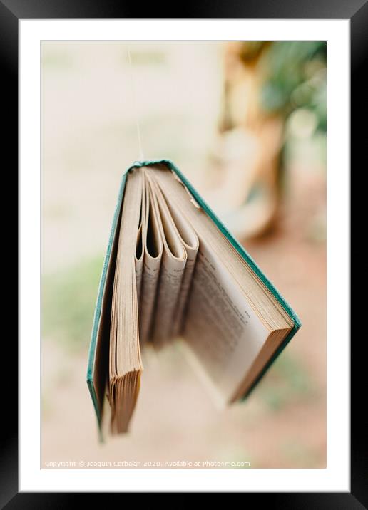 Books hung to decorate an outdoor porch Framed Mounted Print by Joaquin Corbalan