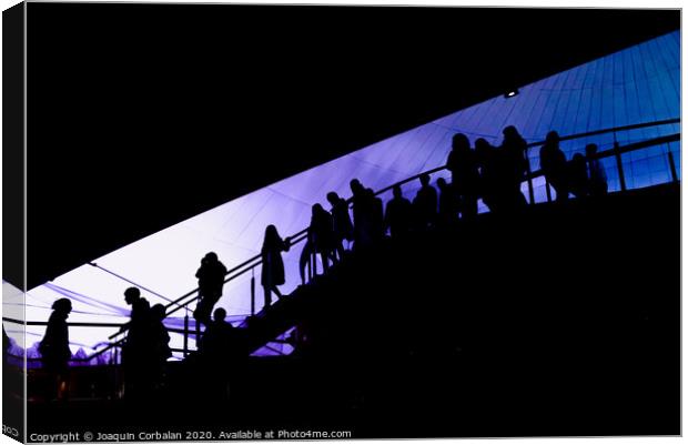 Silhouette of people going down a ladder, visitors of a tourist attraction, background defocused. Canvas Print by Joaquin Corbalan