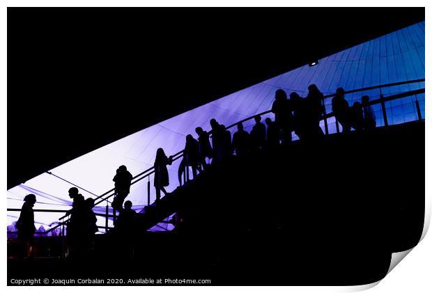 Silhouette of people going down a ladder, visitors of a tourist attraction, background defocused. Print by Joaquin Corbalan