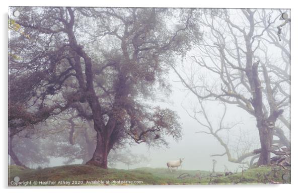 Sheep in foggy landscape Acrylic by Heather Athey