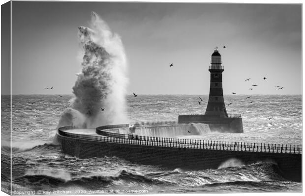Stormy Seas and Seagulls  Canvas Print by Ray Pritchard