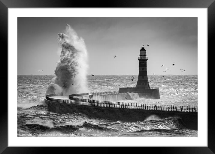 Stormy Seas and Seagulls  Framed Mounted Print by Ray Pritchard