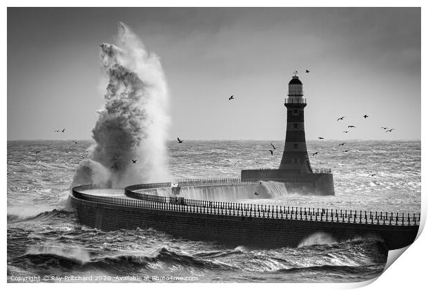 Stormy Seas and Seagulls  Print by Ray Pritchard