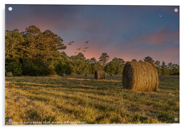 Rolls of Hay in Dusk Light Acrylic by Darryl Brooks