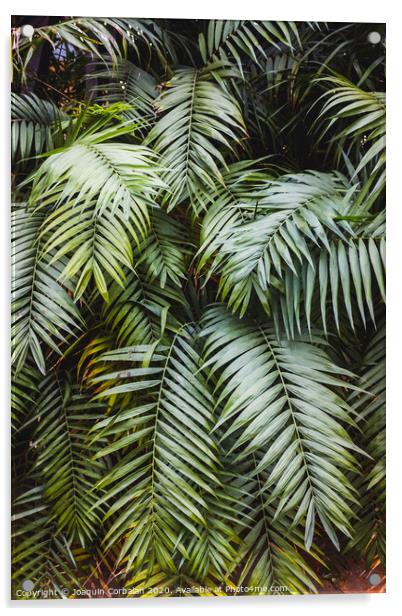 Vertical image of a lush forest with broad green palm leaves, natural background. Acrylic by Joaquin Corbalan