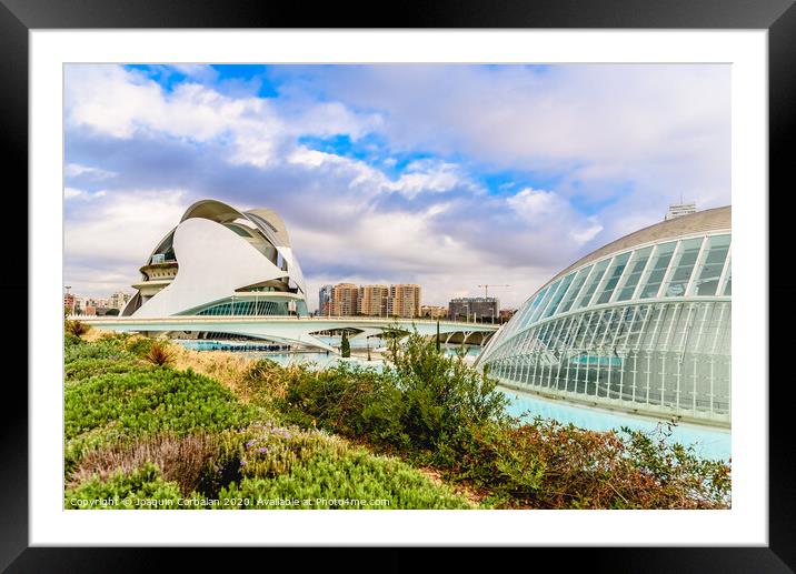 Complex of the city of arts and sciences of Valencia, spain, one of the most visited buildings in Valencia by tourists. Framed Mounted Print by Joaquin Corbalan