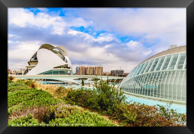 Complex of the city of arts and sciences of Valencia, spain, one of the most visited buildings in Valencia by tourists. Framed Print by Joaquin Corbalan
