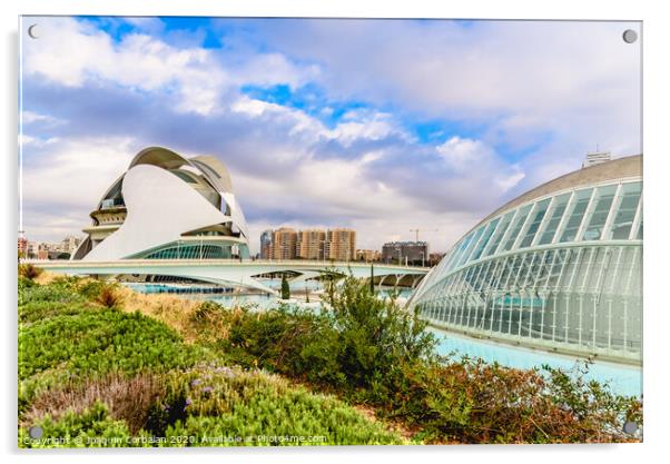 Complex of the city of arts and sciences of Valencia, spain, one of the most visited buildings in Valencia by tourists. Acrylic by Joaquin Corbalan