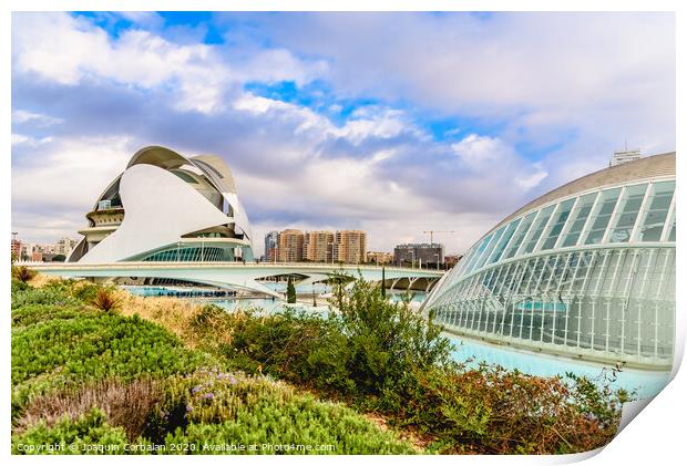 Complex of the city of arts and sciences of Valencia, spain, one of the most visited buildings in Valencia by tourists. Print by Joaquin Corbalan