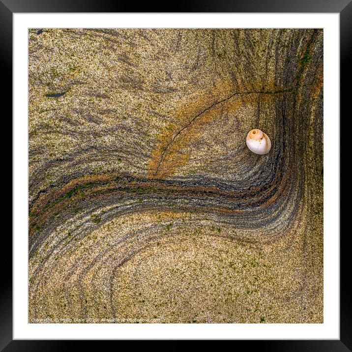 Rock and Shell on Spittal Beach Framed Mounted Print by Phillip Dove LRPS