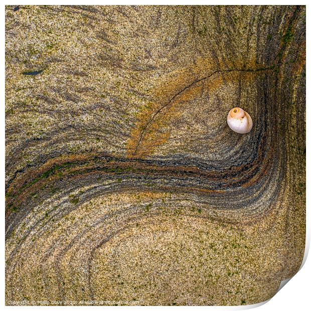 Rock and Shell on Spittal Beach Print by Phillip Dove LRPS