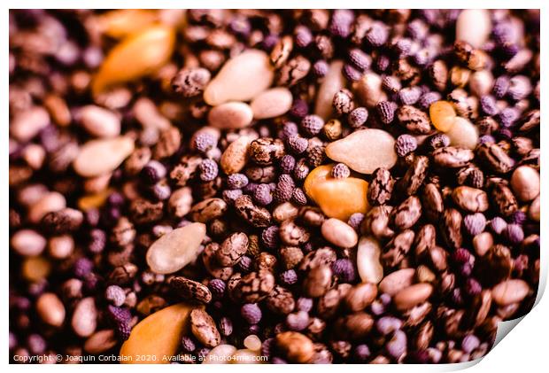 closeup Small seeds superfoods, chia, golden flax and sesame Print by Joaquin Corbalan