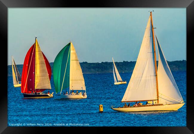 Evening Sailboats Racing Padanaram Harbor Dartmouth Massachusetts Framed Print by William Perry