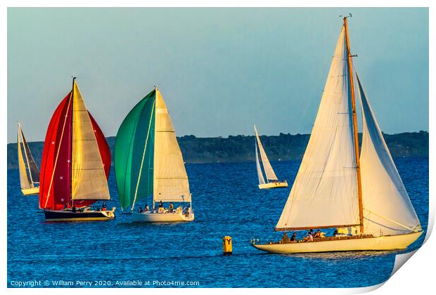 Evening Sailboats Racing Padanaram Harbor Dartmouth Massachusetts Print by William Perry