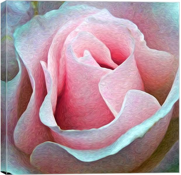 Rose Painting Canvas Print by Alice Gosling