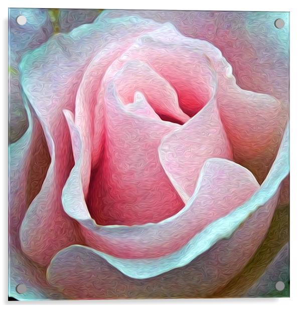 Rose Painting Acrylic by Alice Gosling