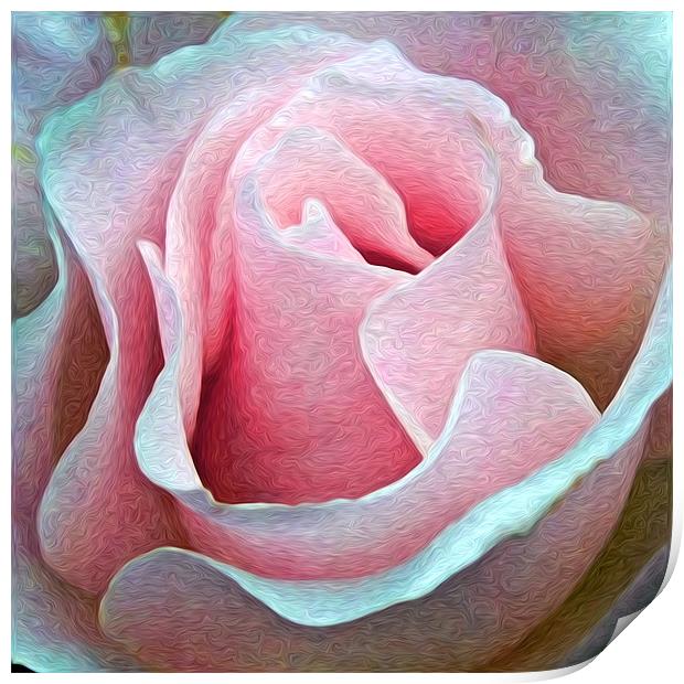 Rose Painting Print by Alice Gosling