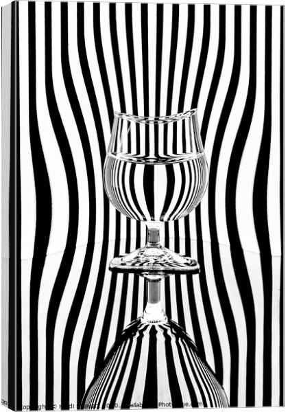 Zebra Stripes and Glass Canvas Print by Heidi Stewart