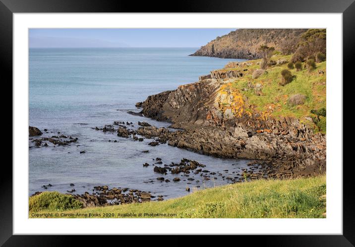Seascape, Framed Mounted Print by Carole-Anne Fooks