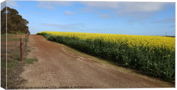 Canola Crop Canvas Print by Carole-Anne Fooks