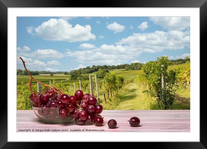 it's time to harvest  Framed Mounted Print by Sergio Delle Vedove