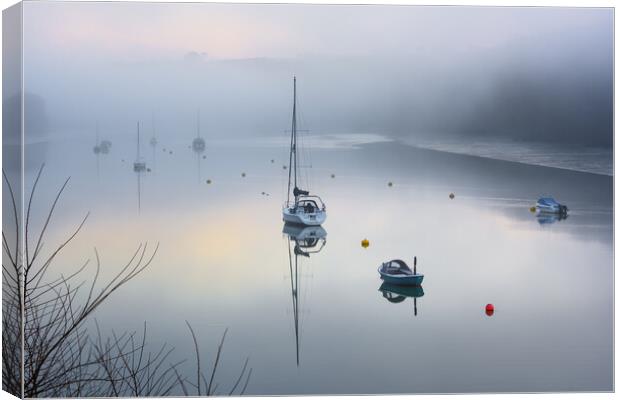 Ghosts in the fog  Canvas Print by Michael Brookes