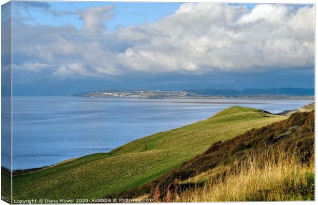 Sand Point to Bristol Somerset Canvas Print by Diana Mower