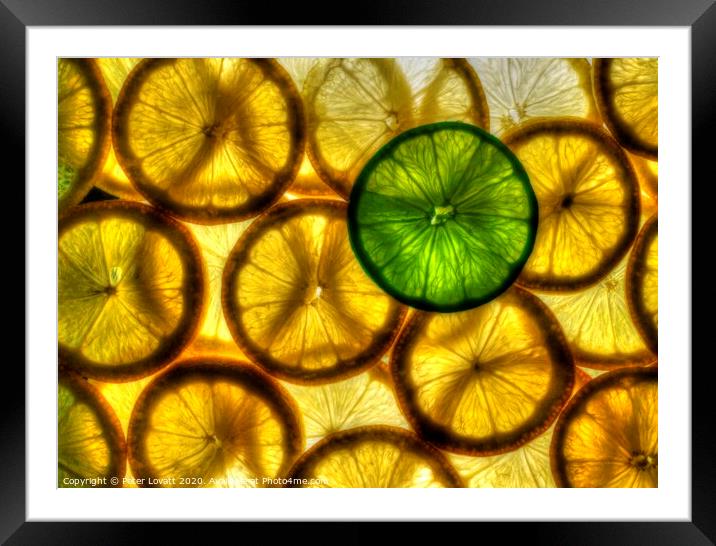 Lemons and Lime Framed Mounted Print by Peter Lovatt  LRPS