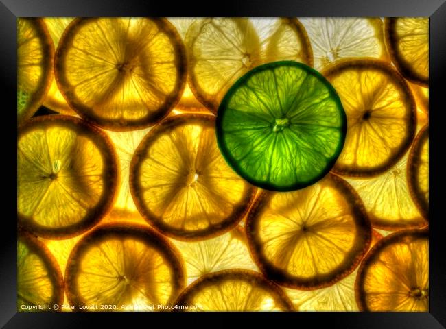 Lemons and Lime Framed Print by Peter Lovatt  LRPS