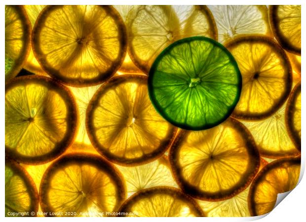 Lemons and Lime Print by Peter Lovatt  LRPS