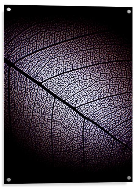 dark leaf Acrylic by Heather Newton