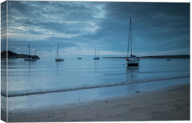 Yachts moored at Instow Canvas Print by Tony Twyman