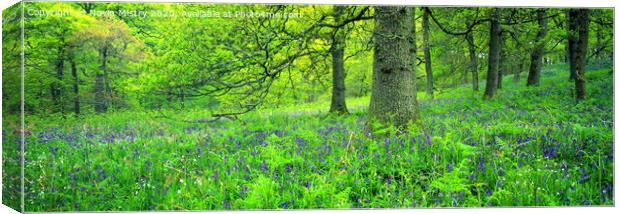 Bluebell Woods Panorama Canvas Print by Navin Mistry