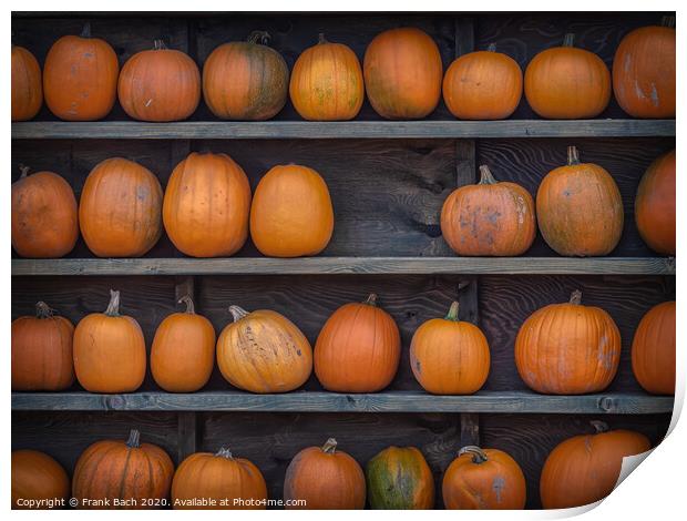 Fresh harvested pumpkins ready for sale Print by Frank Bach