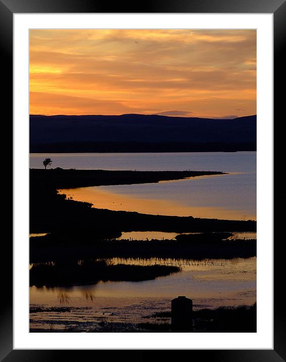 loch sunset Framed Mounted Print by Ann Callaghan