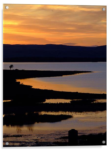 loch sunset Acrylic by Ann Callaghan