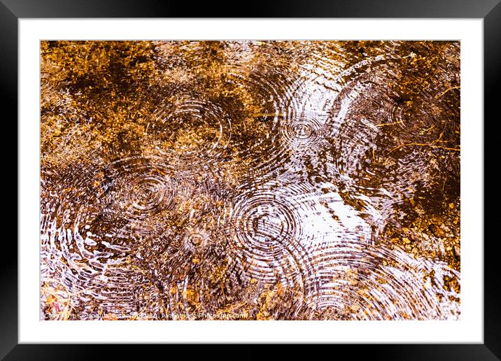 Natural background with the reflection of a forest in a lake during a rain with waves of drops in the water. Framed Mounted Print by Joaquin Corbalan