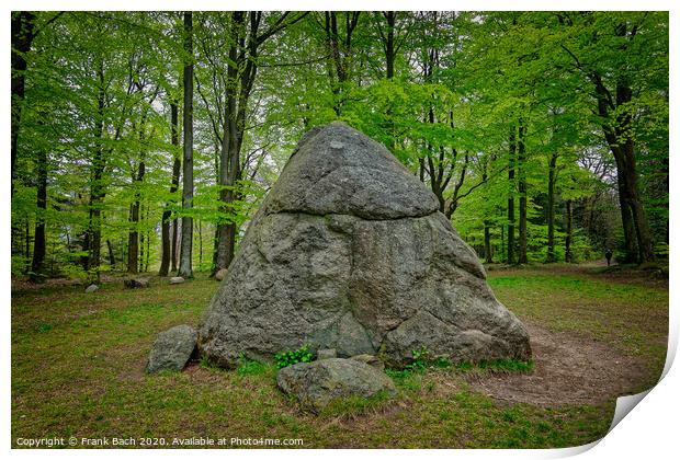Tirslund glacial megalith stone in western Denmark Print by Frank Bach