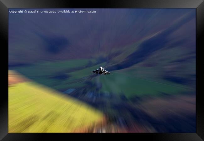 High Speed Harrier Framed Print by David Thurlow