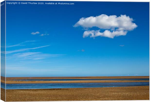 Perfect beach, blue skies and fluffy clouds. Canvas Print by David Thurlow