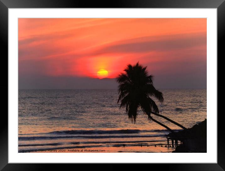 Gulf of Mexico Sunset Framed Mounted Print by Elaine Manley