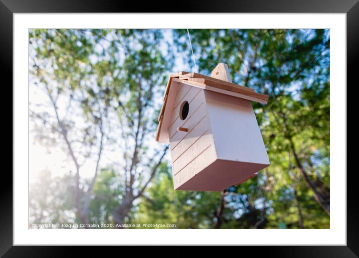 Wooden house for little birds hanging on a tree in a garden. Framed Mounted Print by Joaquin Corbalan